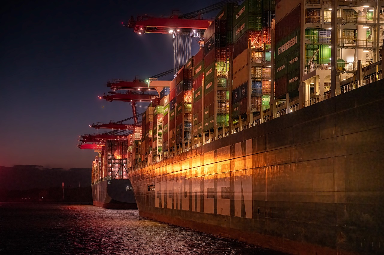 The Environmental Impact of Cruise Ships